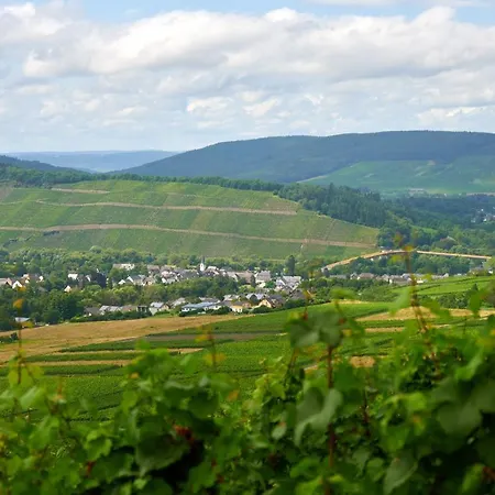 Weinromantikhotel Richtershof Hotel 4*