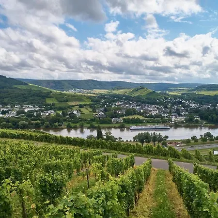 Hotel Weinromantikhotel Richtershof Mulheim an der Mosel