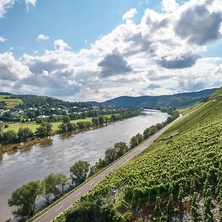 Weinromantikhotel - Richtershof فندق مولهايم ان دور موسيل