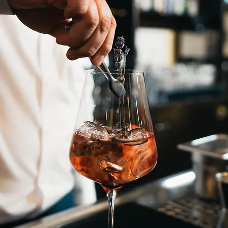 酒店 维恩曼特克日特豪弗酒店 米尔海姆