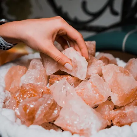 维恩曼特克日特豪弗酒店 米尔海姆