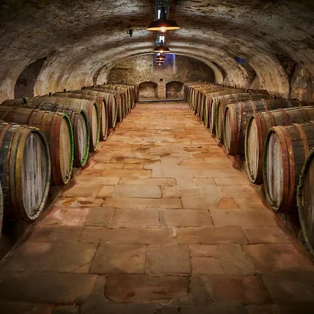 维恩曼特克日特豪弗酒店 米尔海姆