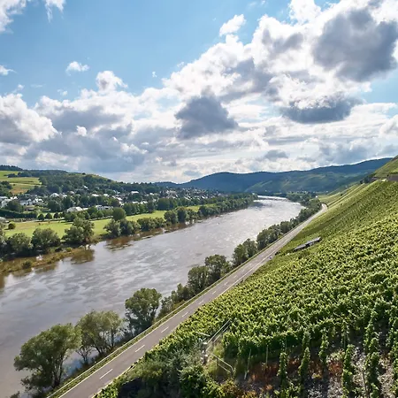 Weinromantikhotel - Richtershof فندق مولهايم ان دور موسيل