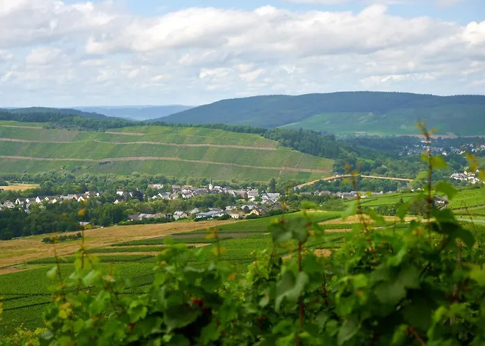 Weinromantikhotel Richtershof Hotel 4*