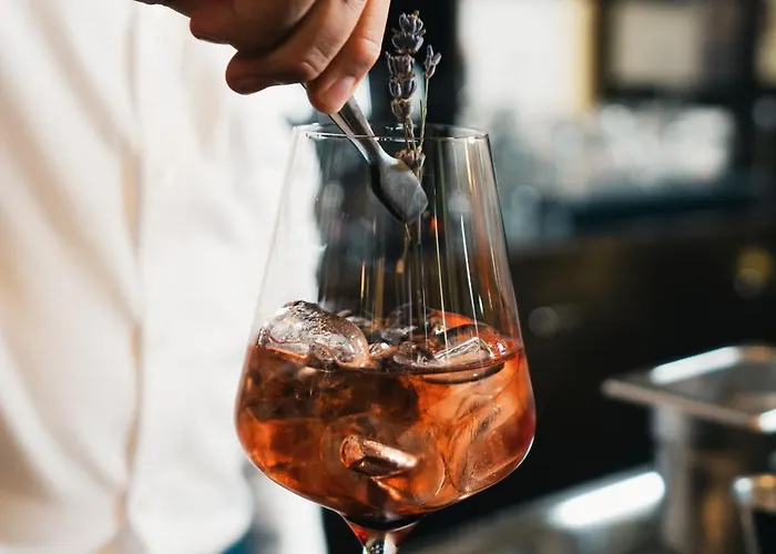 酒店 维恩曼特克日特豪弗酒店 米尔海姆